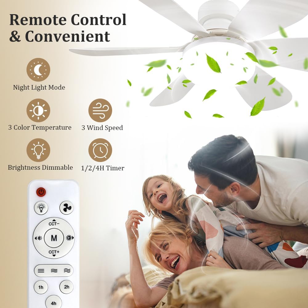 Socket Fan Light with Remote,  - Home Decor Lighting recension och pris