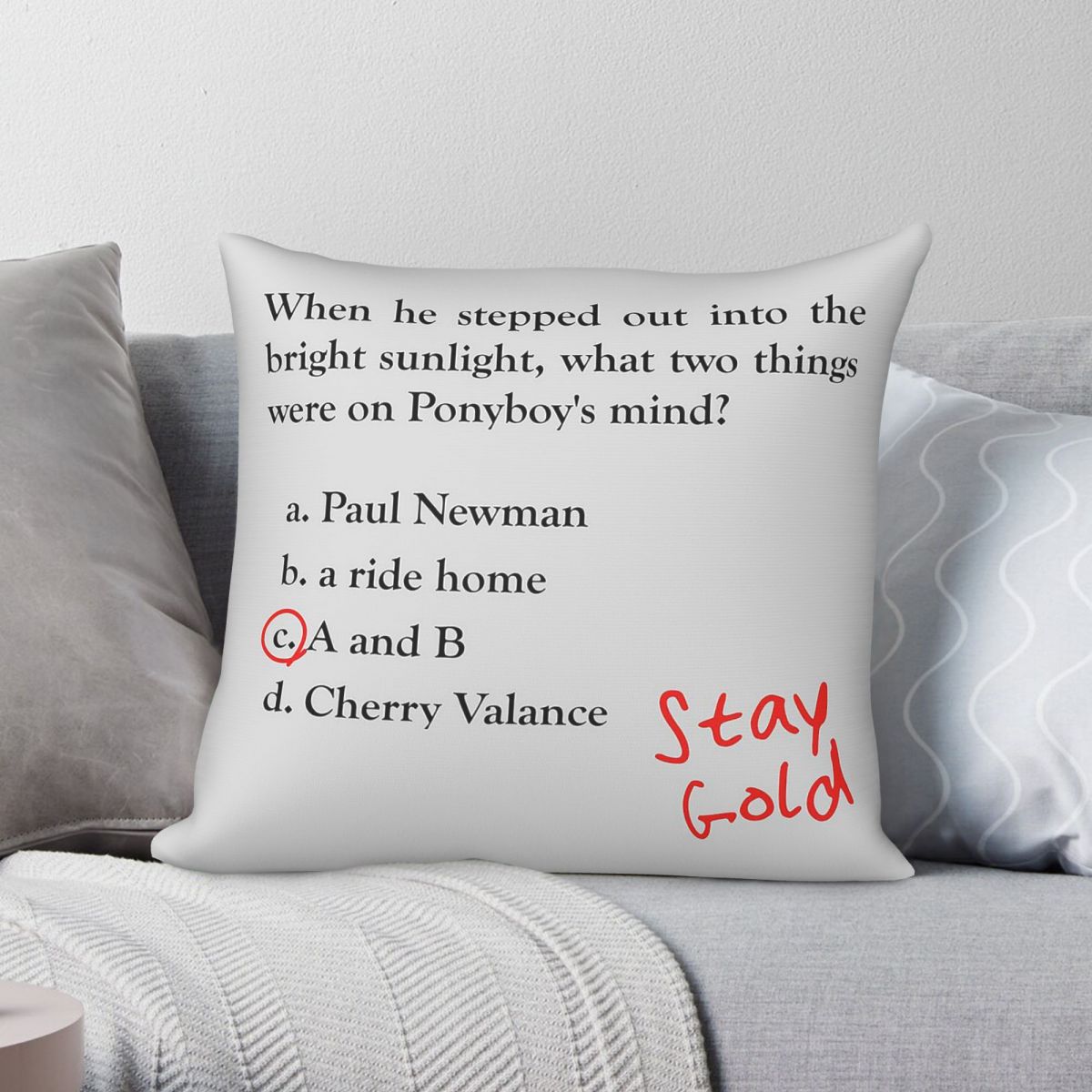 Outsiders Ponyboy Quiz Questio - Home Decor Quiz Free recension och pris