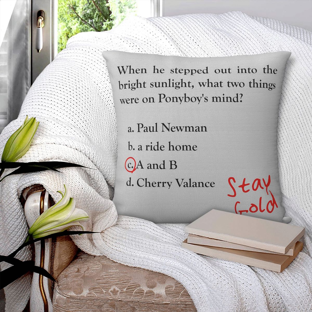 Outsiders Ponyboy Quiz Questio - Home Decor Quiz Free recension och pris