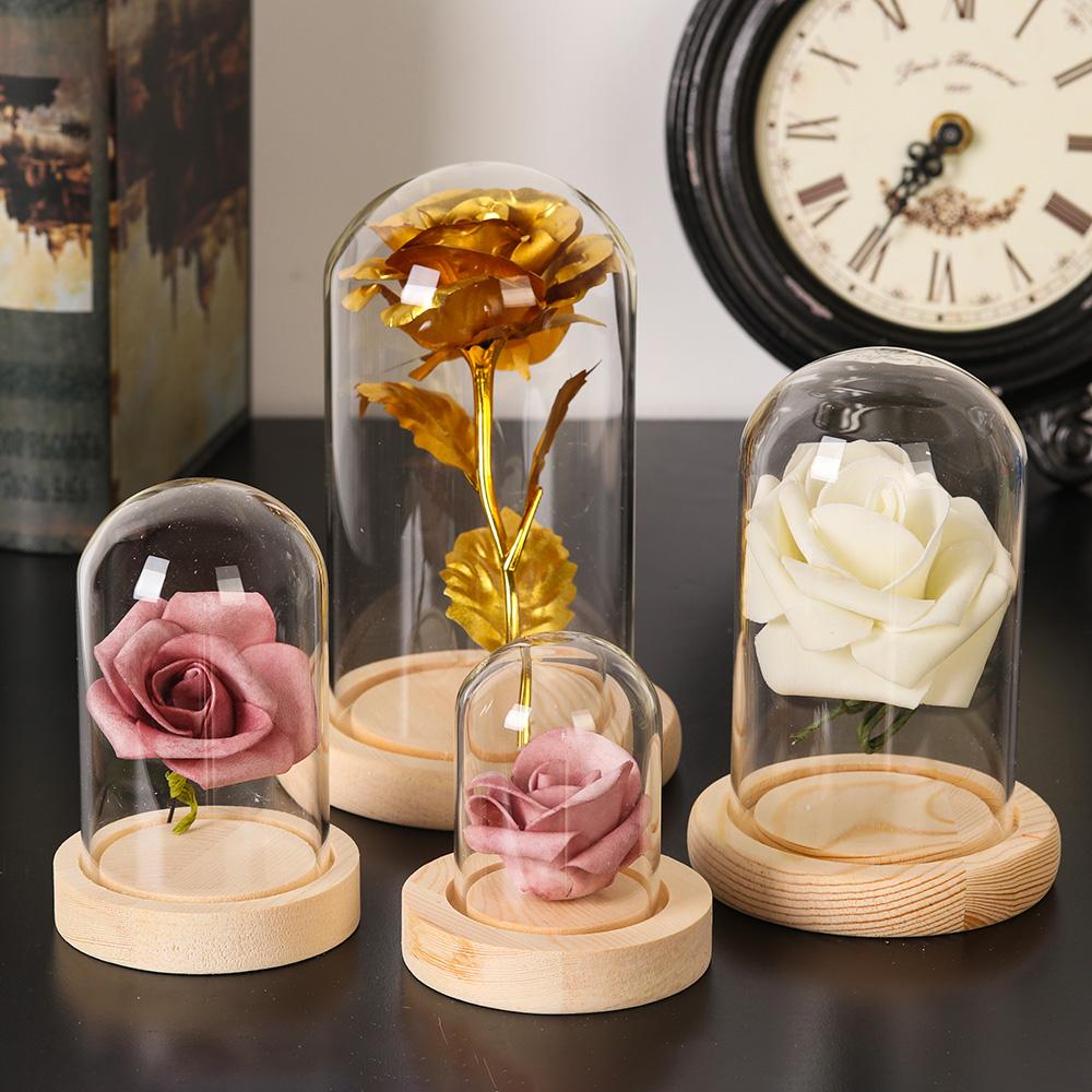 Home Decor Plants Jar Terrariu - Home Decor Vase recension och pris