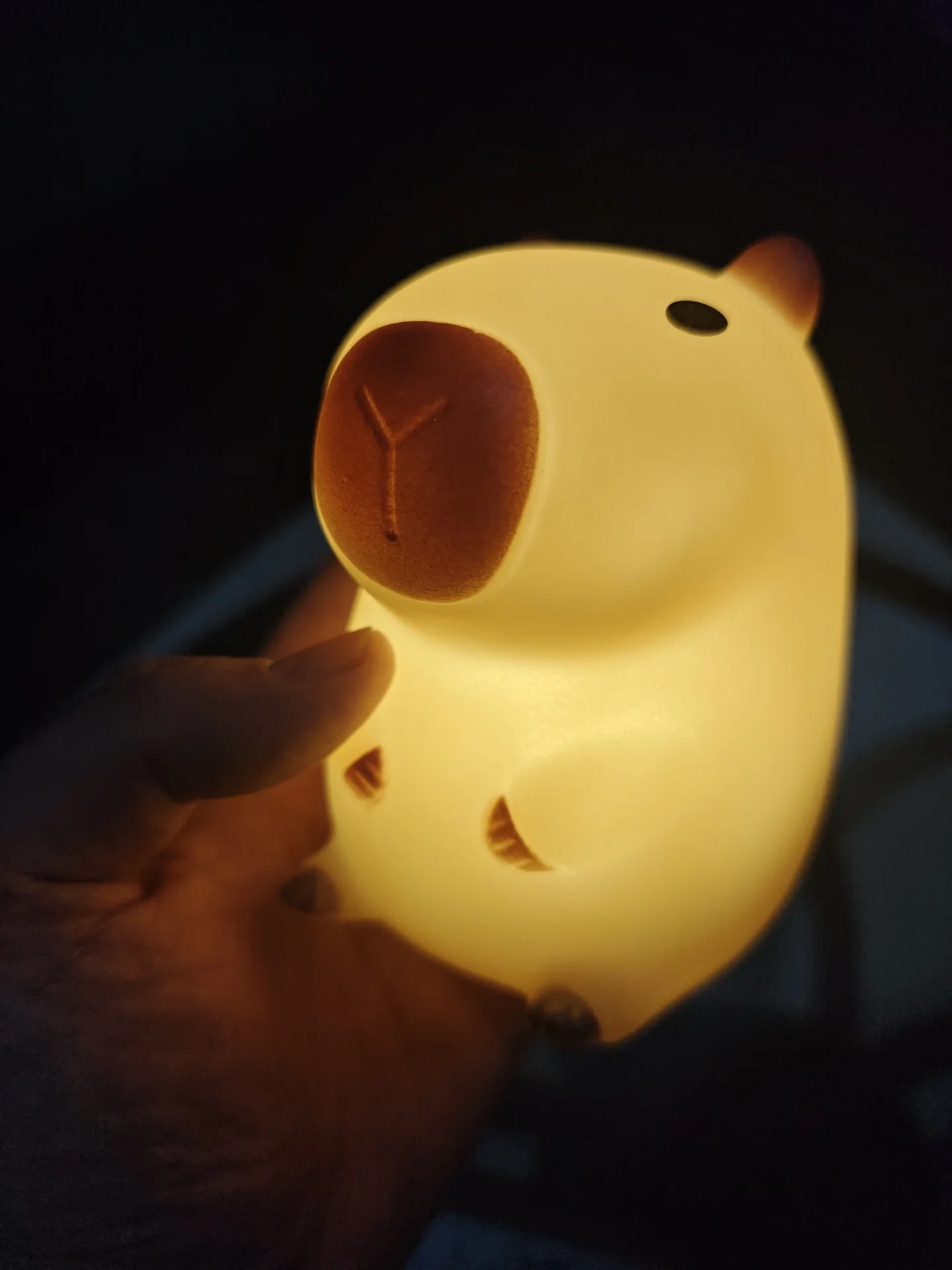 Cute Pet Capybara Night Light  - Home Decor On Sale recension och pris